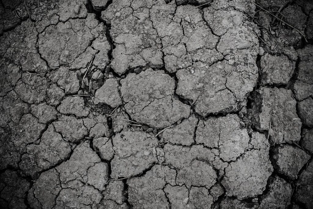 泥パックの毛穴への効果は本当にあるのか？