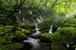美顔器の効果は本当にあるのか？
