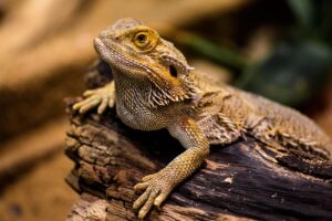 ピーリングの頻度の目安はどれくらい？