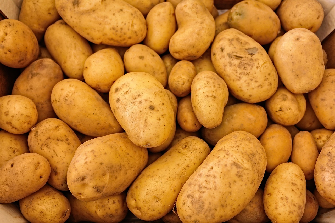 栄養不足による肌荒れを改善する食べ物は？