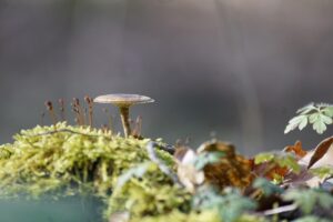 毛穴に効く美容液のおすすめは？