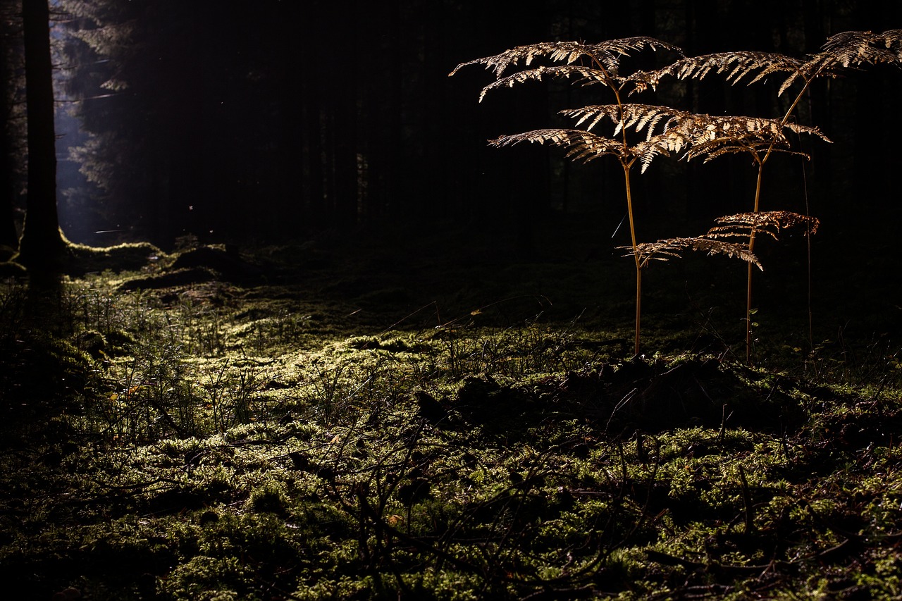 毛穴の悩みに最適な美容液おすすめは？