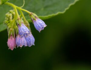 ニキビの潰し方は本当に効果的なのか？