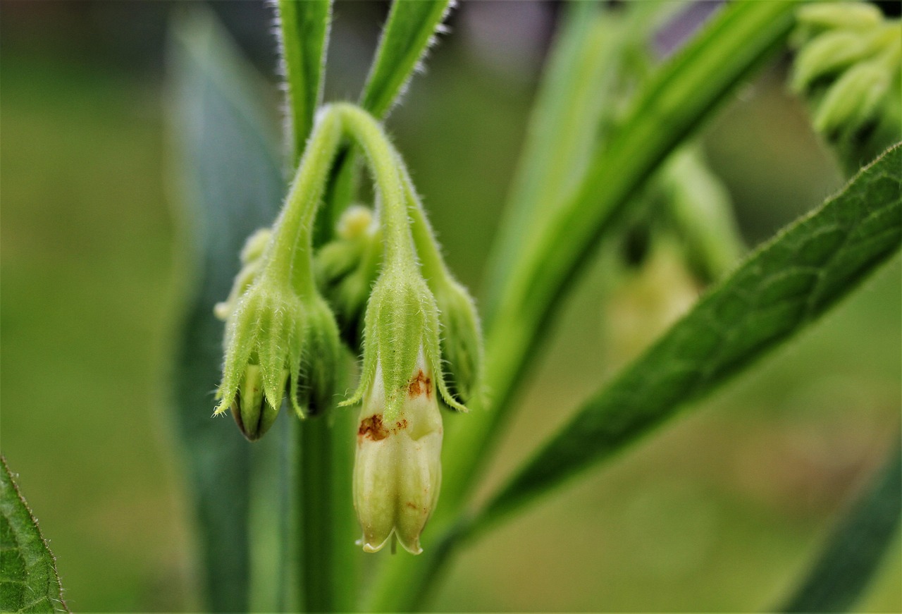 ニキビを潰すとどうなる？そのリスクと対処法は？