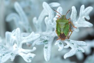 クレンジングと洗顔の違いを知ることで得られる美肌効果とは？