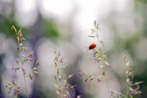 ニキビを潰す方法は本当に効果的なのか？