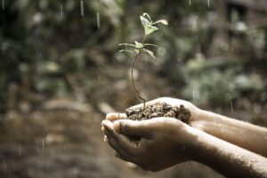 手荒れを治す方法にはどんなものがあるの？