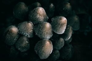 日焼けのシミを防ぐために知っておくべき対策は？