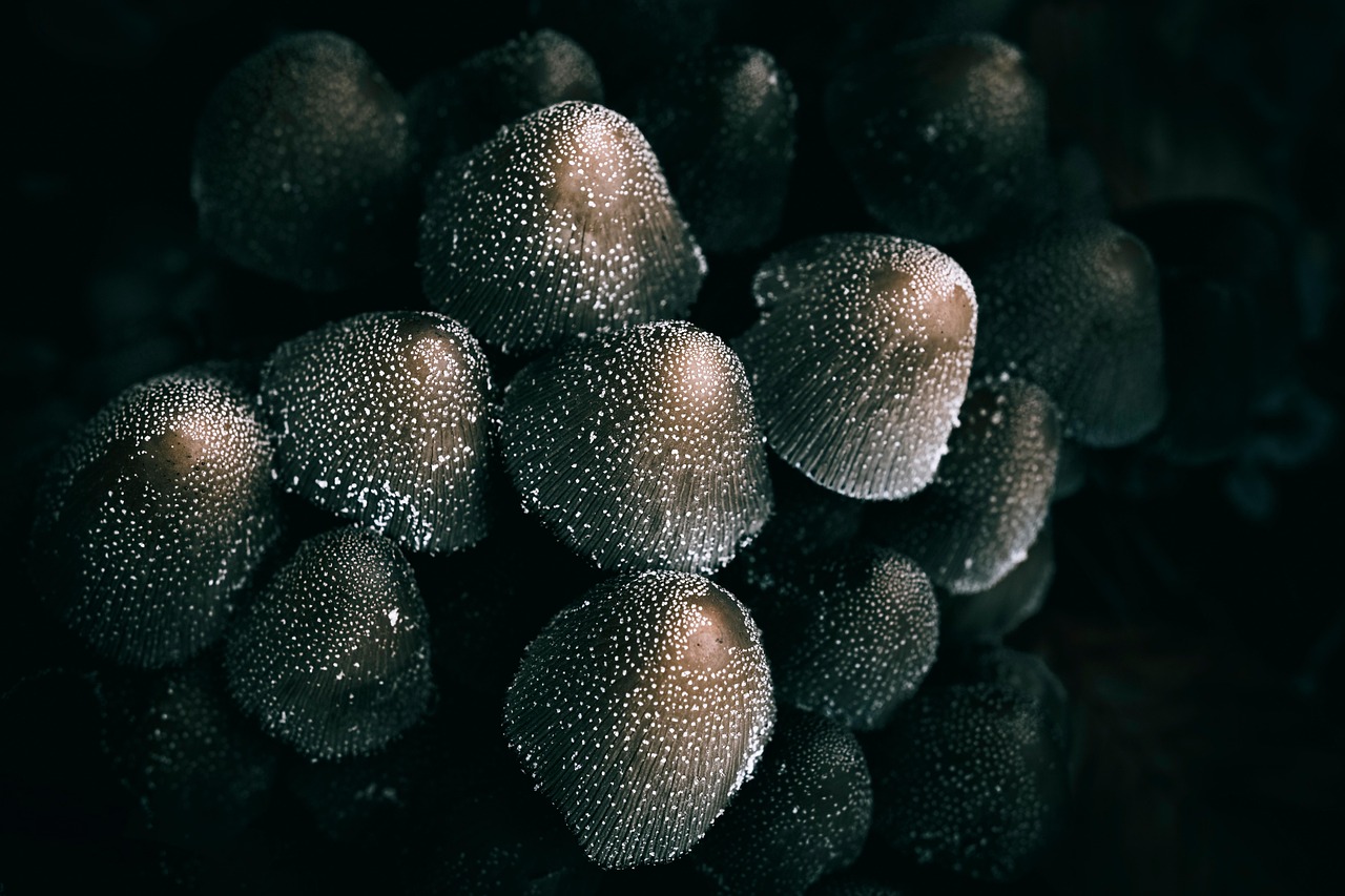 日焼けのシミを防ぐために知っておくべき対策は？