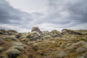 毛孔性苔癬の治し方を自宅で行うための効果的な方法は？