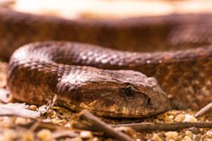美顔器の効果を最大限に引き出す使い方は？