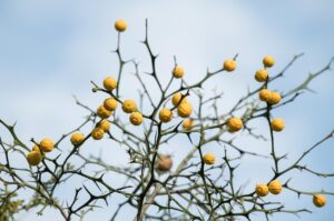美顔器は本当に効果あるのか？