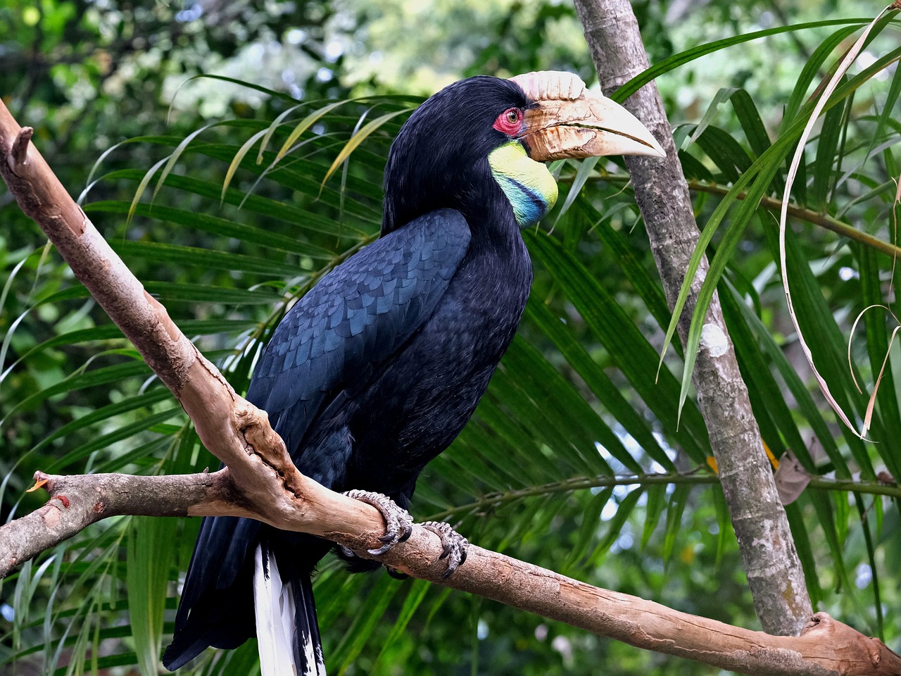 角質ケアの頻度はどれくらいが理想？