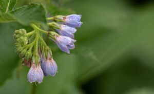 ニキビの原因となる食べ物は何ですか？