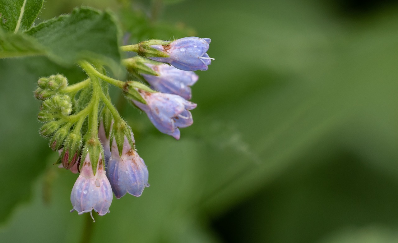 ニキビの原因となる食べ物は何ですか？