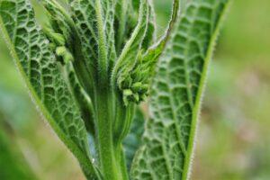 ニキビ跡の効果的な治し方は？