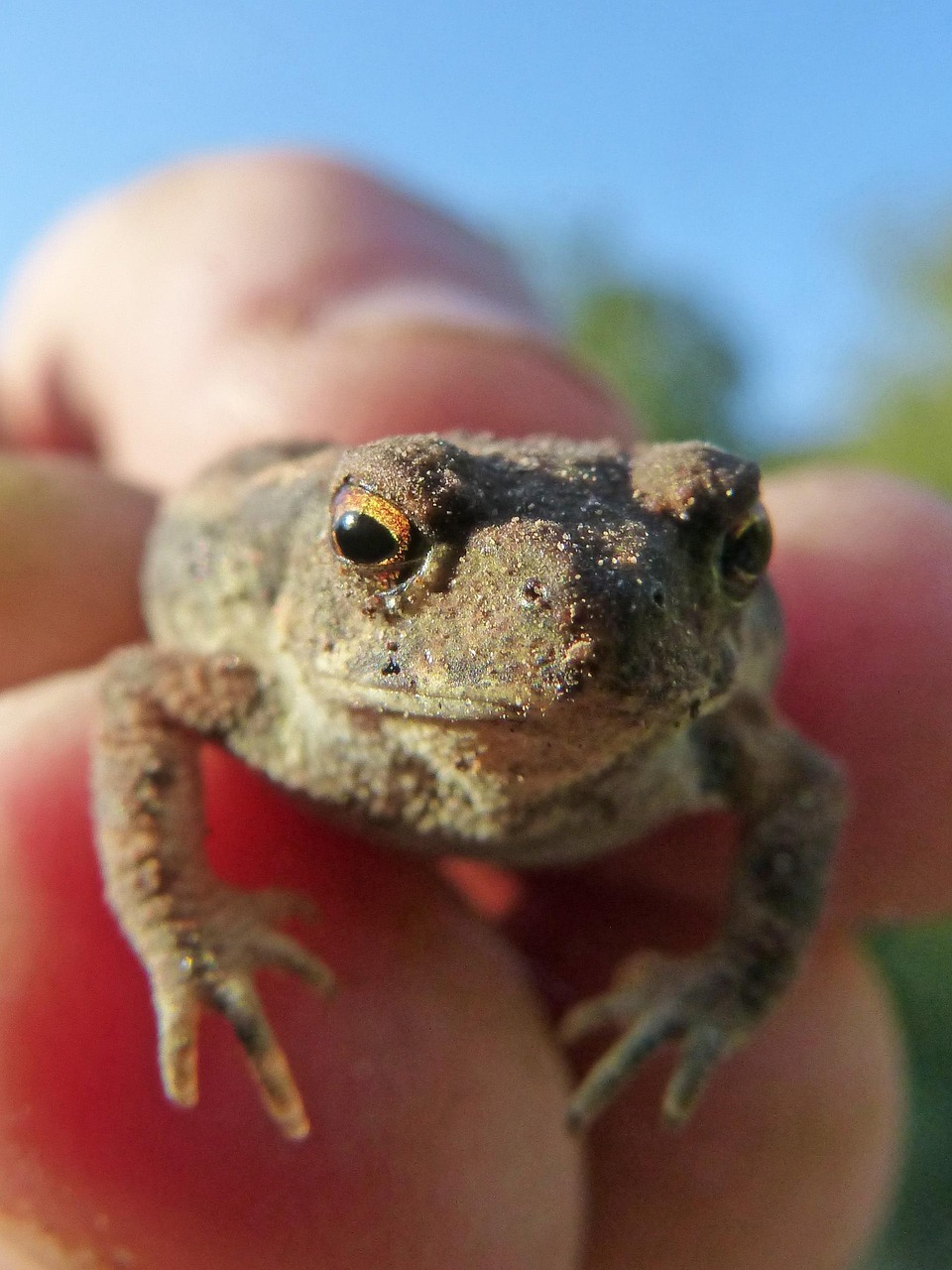 産後肌荒れに効果的なスキンケア方法は？