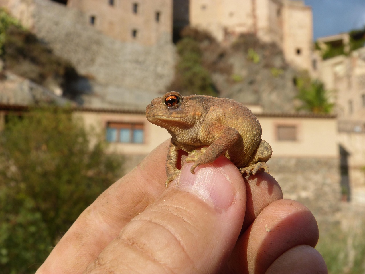 産後肌荒れを改善するための効果的な対策は？