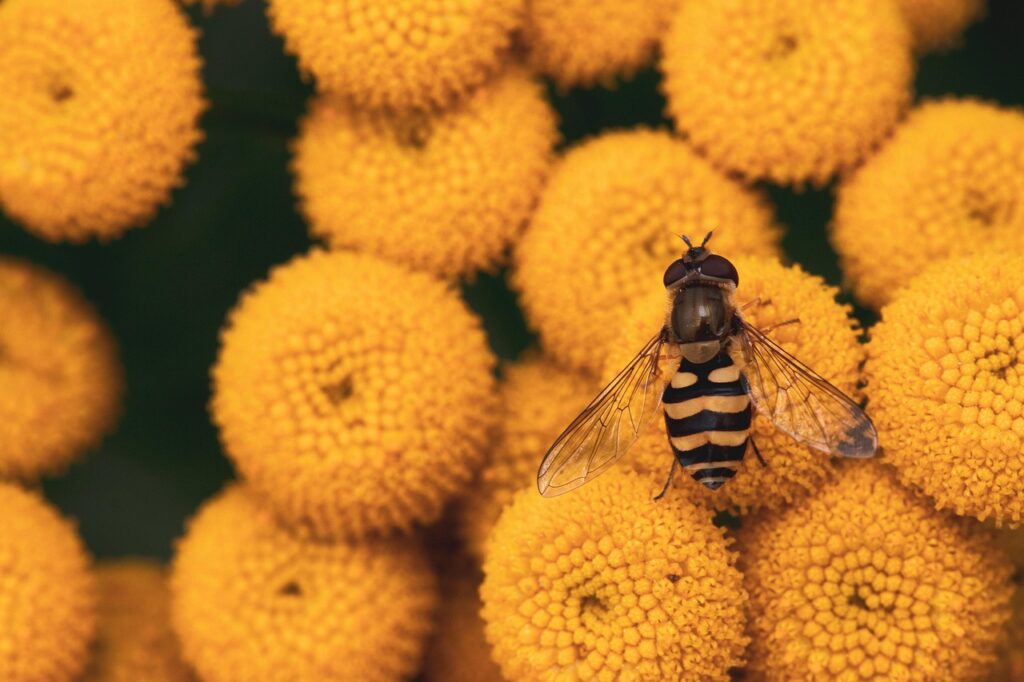 花粉による肌荒れを防ぐための効果的な対策は？
