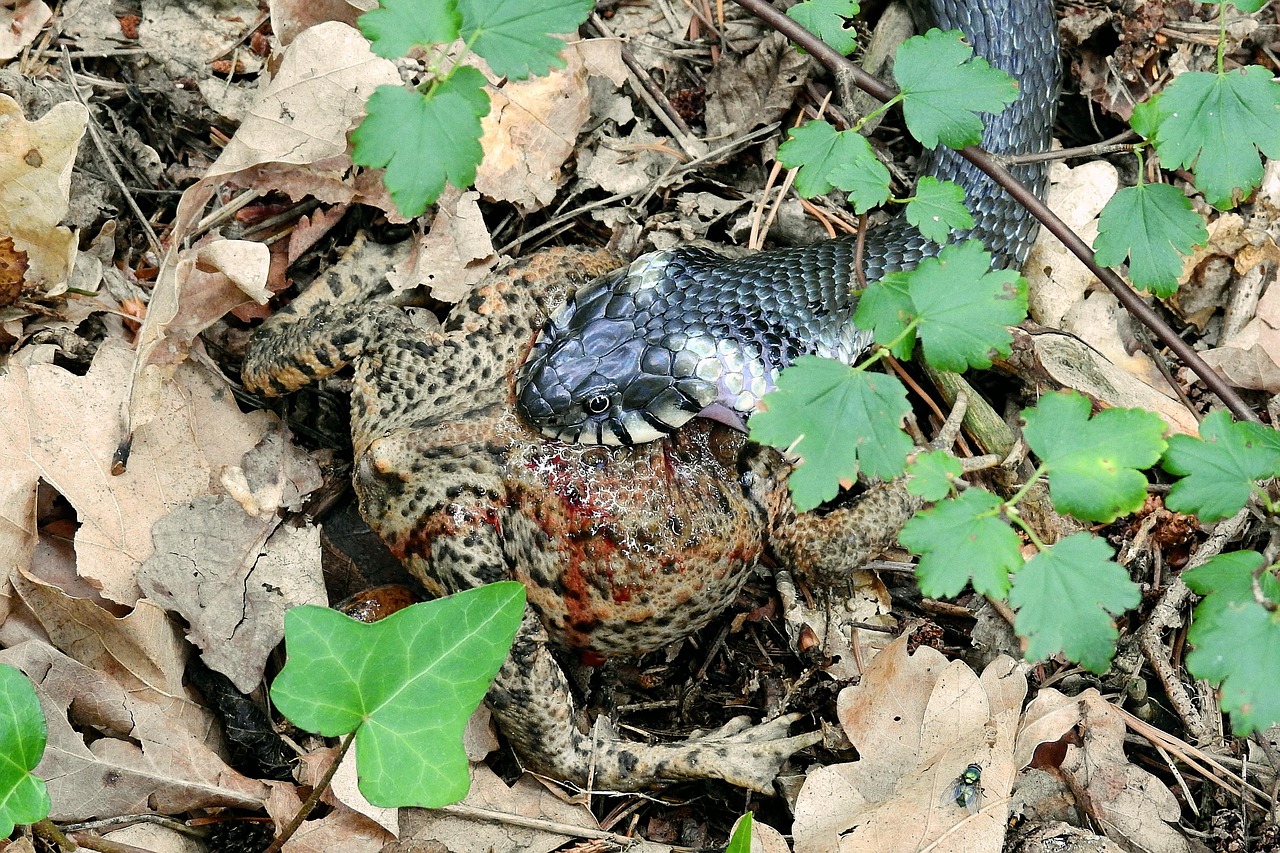 ピーリングによる被害を防ぐための正しい使い方は？